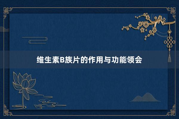 维生素B族片的作用与功能领会